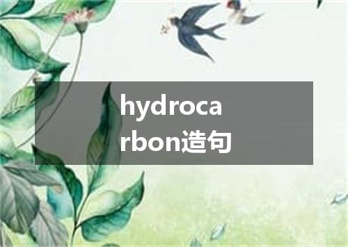 hydrocarbon造句