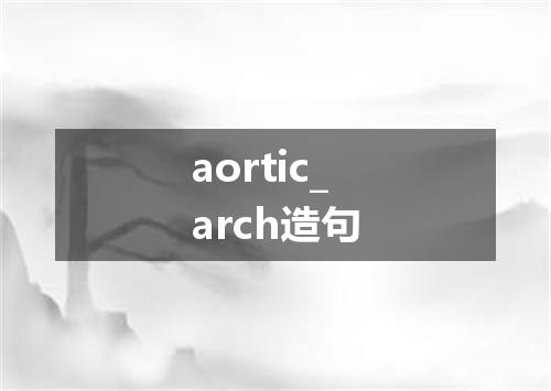 aortic_arch造句