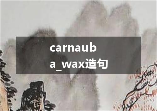 carnauba_wax造句