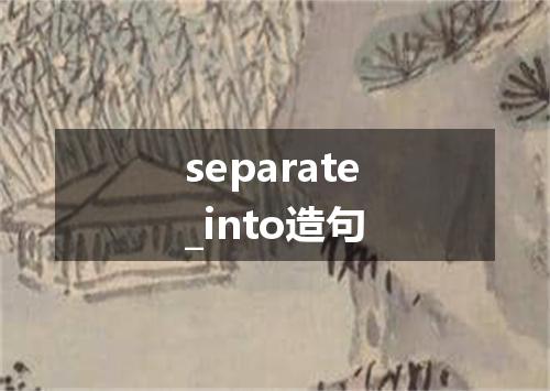 separate_into造句