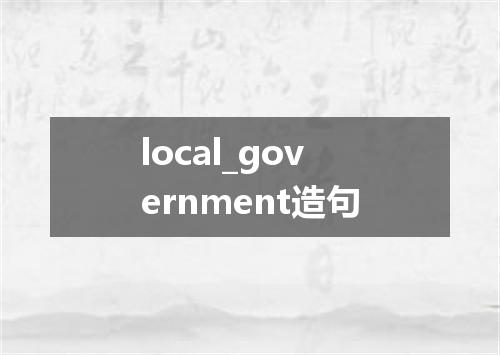 local_government造句