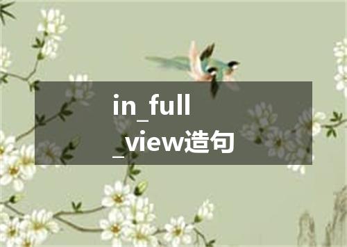 in_full_view造句