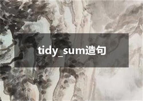 tidy_sum造句