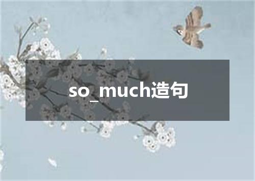 so_much造句
