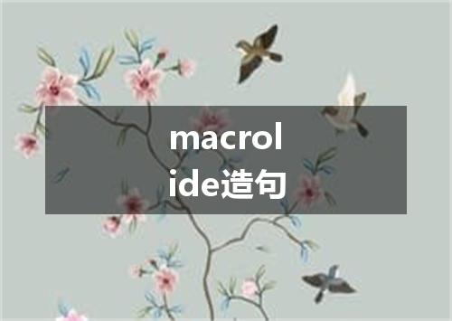 macrolide造句