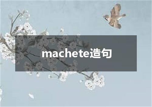 machete造句