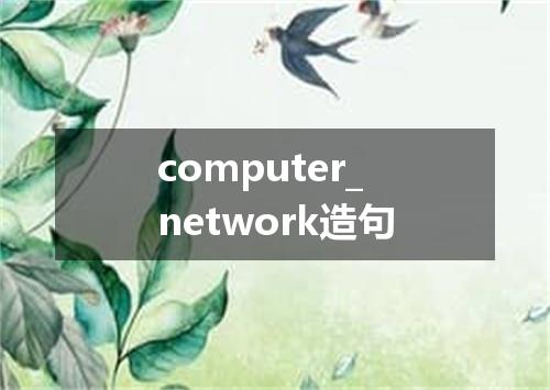 computer_network造句