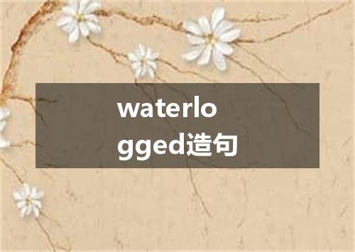 waterlogged造句