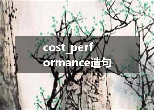 cost_performance造句