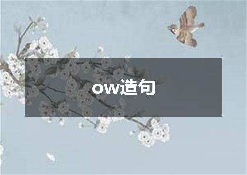 ow造句