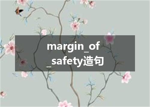 margin_of_safety造句