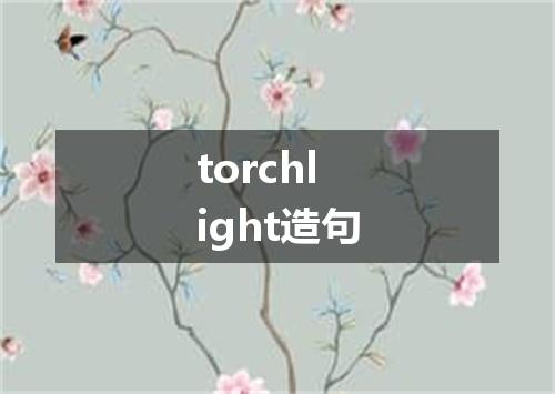 torchlight造句