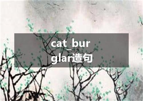 cat_burglar造句