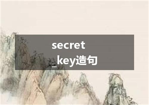 secret_key造句