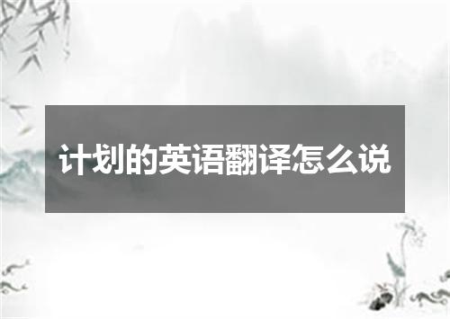 计划的英语翻译怎么说