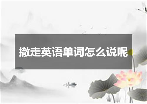 撤走英语单词怎么说呢