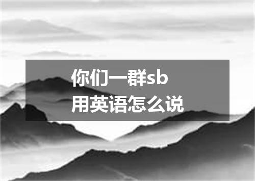 你们一群sb用英语怎么说