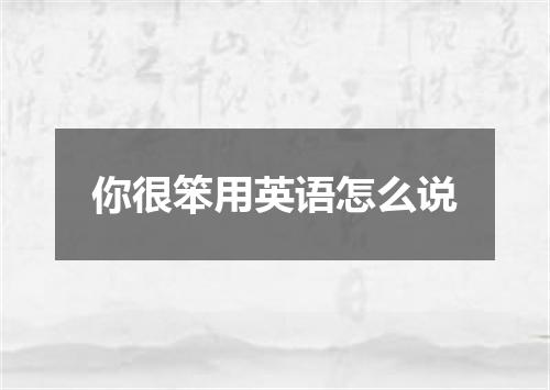 你很笨用英语怎么说