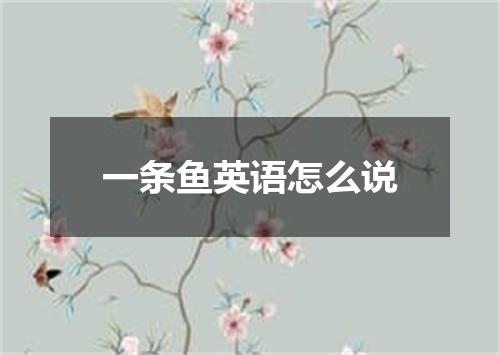一条鱼英语怎么说