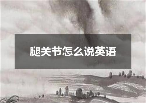 腿关节怎么说英语