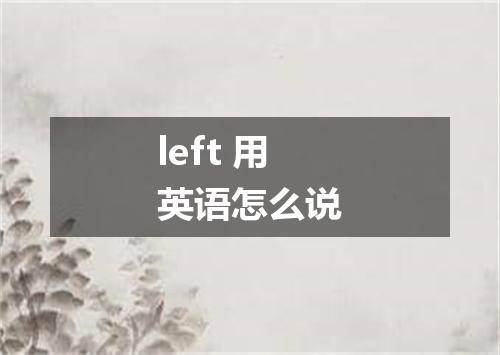 left 用英语怎么说
