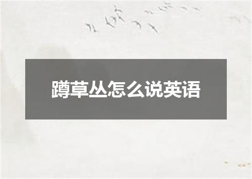 蹲草丛怎么说英语