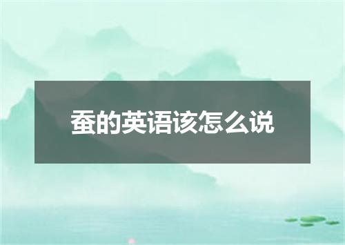 蚕的英语该怎么说