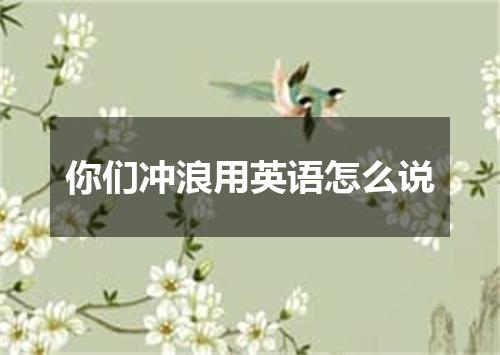 你们冲浪用英语怎么说