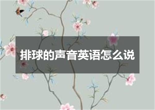 排球的声音英语怎么说