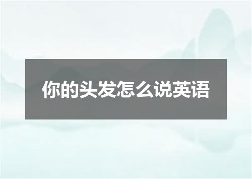 你的头发怎么说英语
