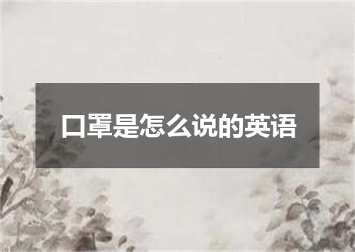 口罩是怎么说的英语