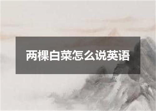 两棵白菜怎么说英语