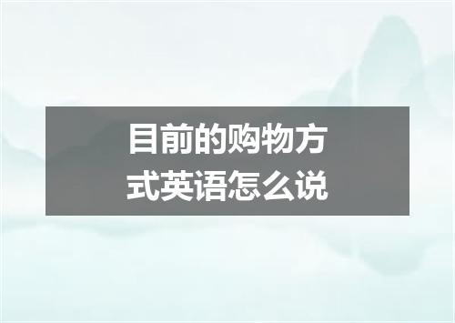 目前的购物方式英语怎么说