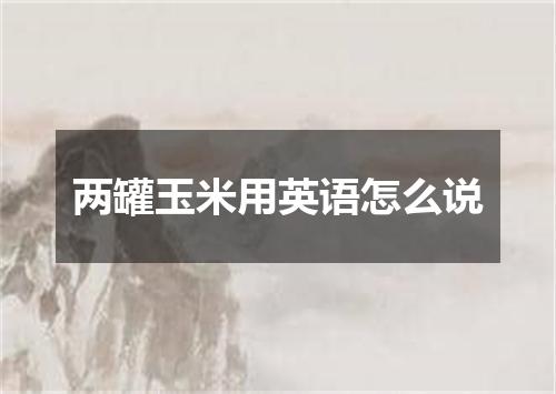 两罐玉米用英语怎么说