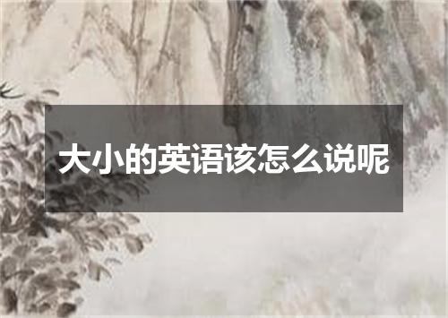 大小的英语该怎么说呢