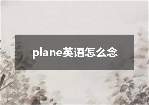 plane英语怎么念