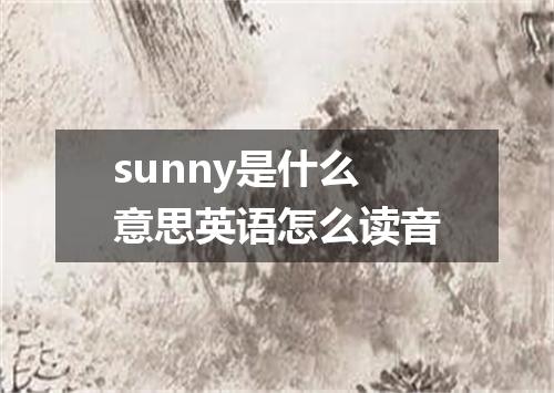 sunny是什么意思英语怎么读音
