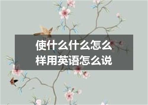 使什么什么怎么样用英语怎么说