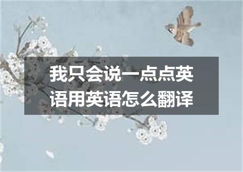 我只会说一点点英语用英语怎么翻译