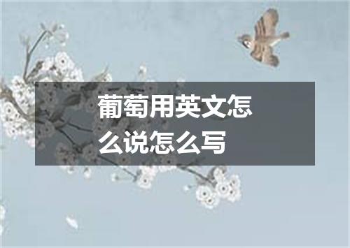 葡萄用英文怎么说怎么写