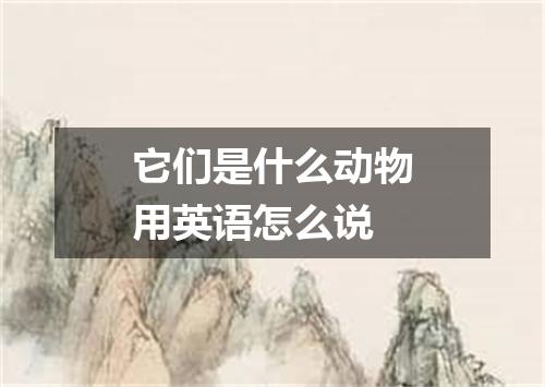 它们是什么动物用英语怎么说