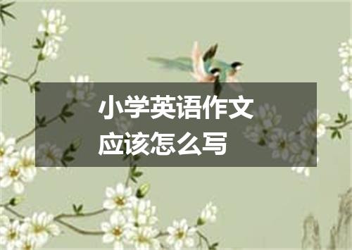 小学英语作文应该怎么写