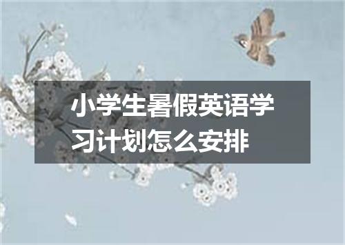 小学生暑假英语学习计划怎么安排