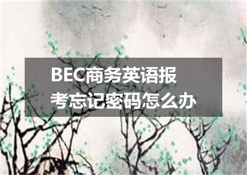 BEC商务英语报考忘记密码怎么办
