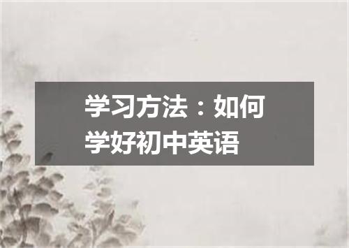 学习方法：如何学好初中英语