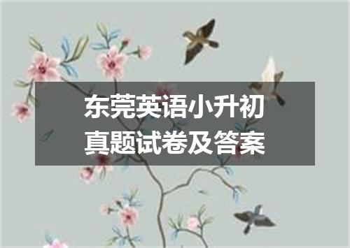 东莞英语小升初真题试卷及答案