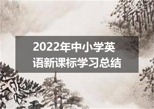 2022年中小学英语新课标学习总结