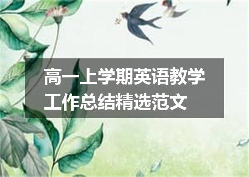 高一上学期英语教学工作总结精选范文