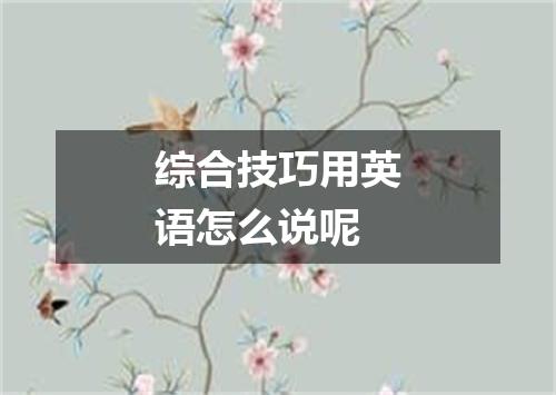 综合技巧用英语怎么说呢