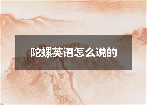 陀螺英语怎么说的